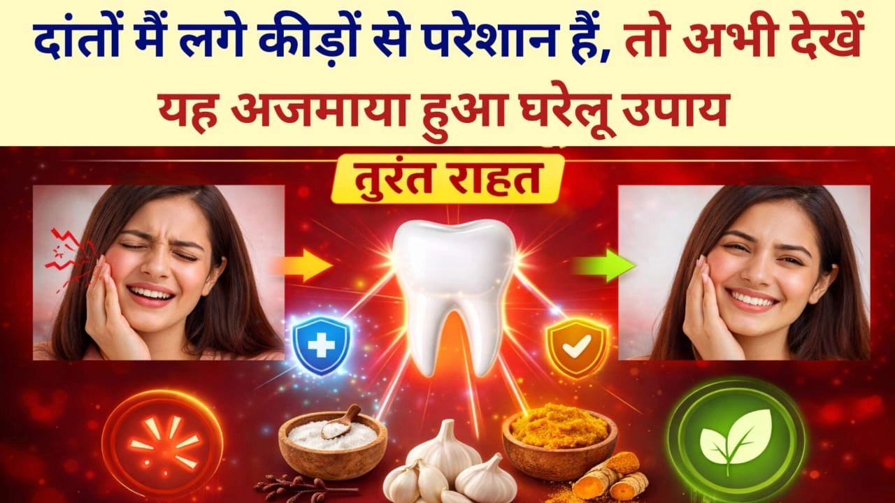 dant ka kida kaise nikale